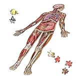 Human Full Body Anatomy Jigsaw Puzzle Bundle | Dr Livingston's Unique Shaped Science Puzzles, Accurate Medical Illustrations of The Body, Organs, Stomach, Liver and Intestines