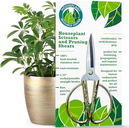 Philodendron Prop y Grow Bundle miniatura 6