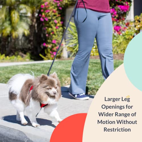 Huxley & Kent Hudson Harness | Red (Extra-Small, 6-10Lbs) | Easy Control Step-In Mesh Vest Harness For Dogs With Reflective Strips For Safety | H&K Walking, Training Harness For Dogs #TOP4