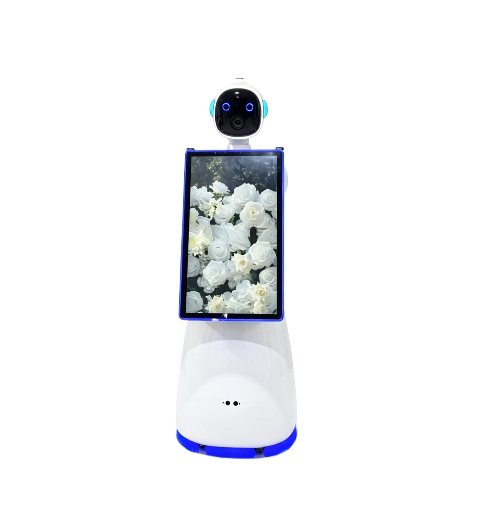 Robot di servizio interattivo di nuova generazione