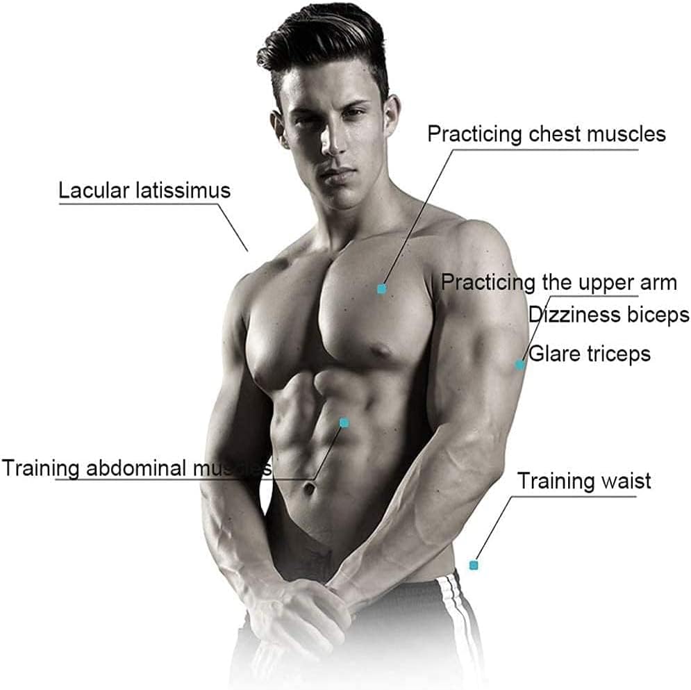 Ab Curler Wheel – Core & Chest Muscle Coaching Wheel, Abs Exercise Equi…