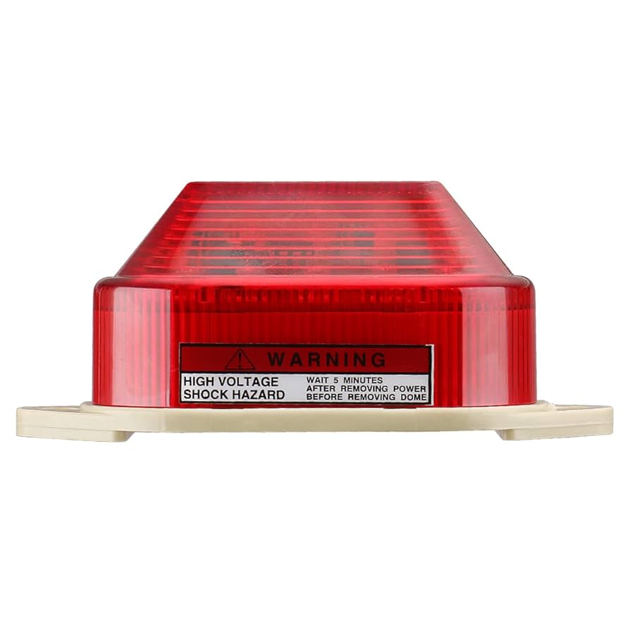 洋楽 Borne In A Faint Streak Of Light / Momi MOMI / Borne in