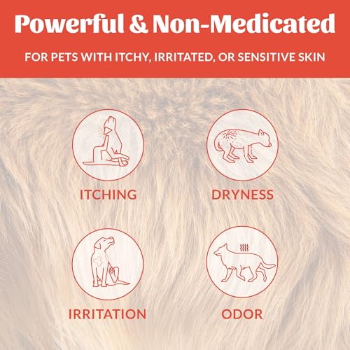 Image of SKOUT'S HONOR Probiotic Itch Relief Spray for Dogs, 8 oz | Natural, Vegan, Non-Medicated Microbiome-Friendly Formula for Long-Lasting Relief, with Soothing Aloe and Avocado Oil