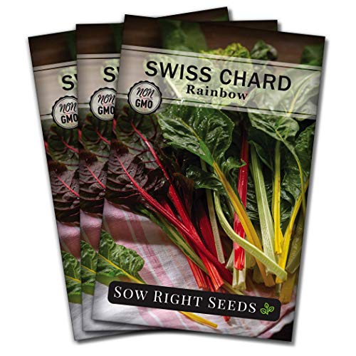 Sow Right Seeds - Rainbow Swiss Chard Seeds for Planting - Non-GMO Heirloom Packet with Instructions to Plant and Grow a Home Vegetable Garden - Nutritious Chard Greens for Cooking (3)