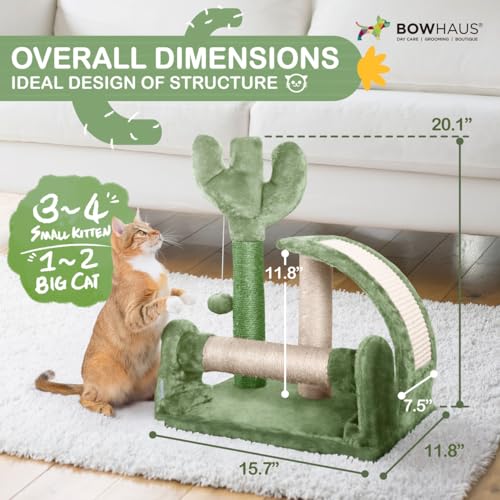 BOWHAUS Cactus Cat Tower 20-Inch para gatos miniatura 2