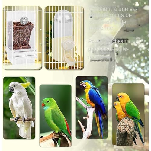 Abreuvoir pour oiseaux anti-renversement pour perruche et canari - 5