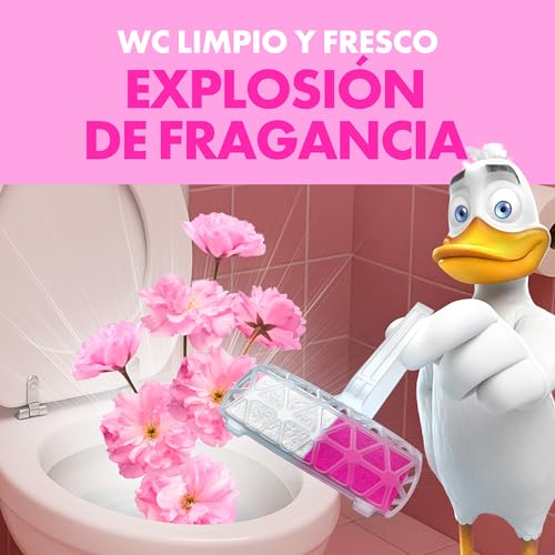 Miniatura 3 de Pato Fresh Boost Colgador WC Floral Pink Peony, Limpia, Refresca y Perfuma el Inodoro, Frescor Intenso, Pack 10 Colgadores