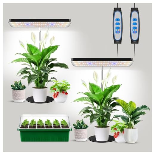 YASBED Led Pflanzenlampe 3500K & rot & blau Wachsen Licht mit Vollspektrum und Timer pflanzenlampe Bar 10 Dimmbare Ebenen für Zimmerpflanzen Tent Seedling Hydroponics - 2er Pack 14 Aumtrly Pflanzenlampe, LED Vollspektrum Schreibtisch-Pflanzenlicht für Indoor Growing 2er-Pack Schwarz, Höhenverstellbar von 19 bis 61 cm Grow Light mit Sockeln, 6/12/16H Zeitschaltuhr
