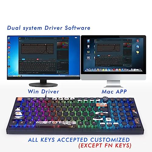 Image of MOLGRIA SKYLOONG GK980 98-Key RGB Backlit Gaming Keyboard with Side Transparent Pudding Keycaps, Hot Swappable Red Mechinery Switches, Type C Wired Knob Mechanical Keyboard for Win /Mac OS