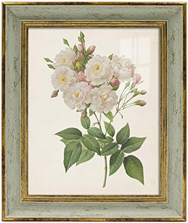 Sapowerntus Vintage 8x10 Picture Frame Gold Line Sage Green Distressed Photo Frames Set Antique Wall Hanging Tabletop Display Home Decor Retro Shabby Chic Elegant Family Unique Gift