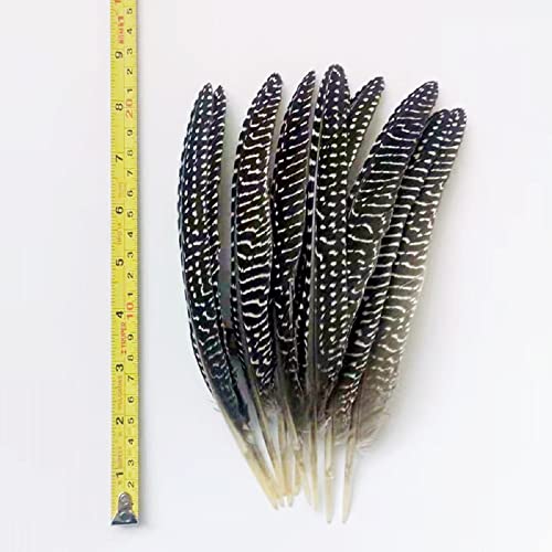 Natural Guinea Fowl Feather Spotted Pheasant Feathers For Craft Floral Arrangements Wedding Home Party Decorations (10 Pcs) #TOP3