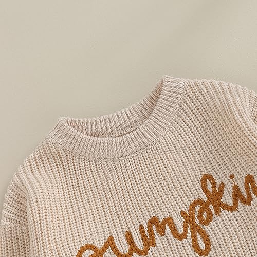 Newborn Baby Girl Knit Sweater Winter Outfit Long Sleeve Crew Neck Sweatshirt Pullover Top Cute Infant Fall Clothes4