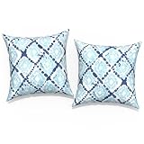 TWLEAR Fundas de almohada para exteriores de 18 x 18 pulgadas, paquete de 2