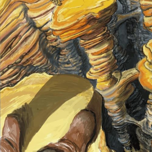 C1E44 Don't Look Down