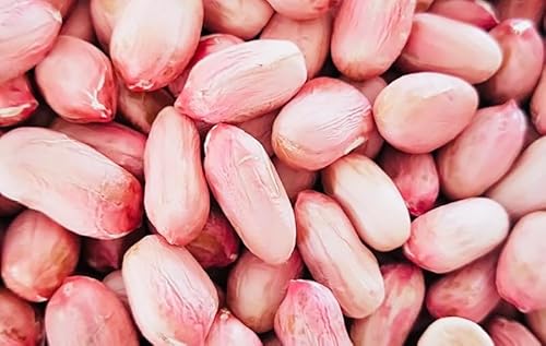 Ԑ 嗱 Ԑ s[ibc1kg (5kg)