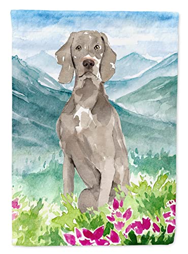 Drapeau Weimaraner Caroline's Treasures grand format pour le jardin