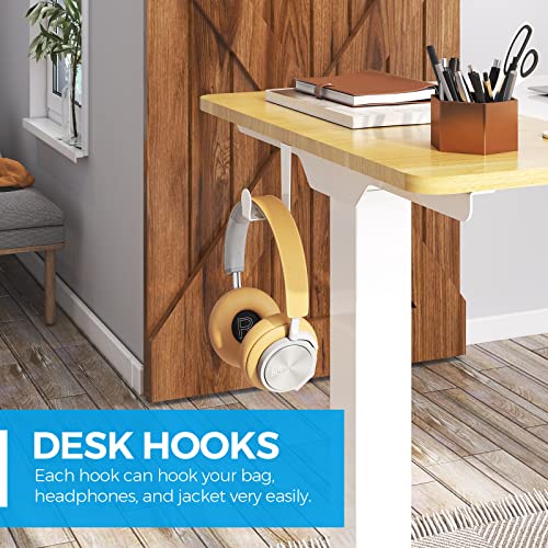 FLEXISPOT EP4 Classic Dual Motor Standing Desk #TOP11