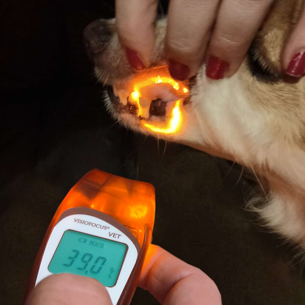 TECNIMED - VisioFocus VET Termometro infrarosso senza contatto per animali ad uso professionale - Senza nessun contatto con l'animale - Made in Italy (Marrone)