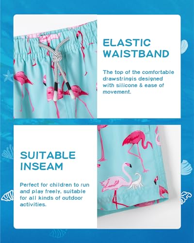 Image of SURF CUZ Boys Swim Trunks Toddler Swim Shorts UPF 50+ Bathing Suit for Boy Swimsuit Quick Dry Mesh Beach Boardshorts Swimwear