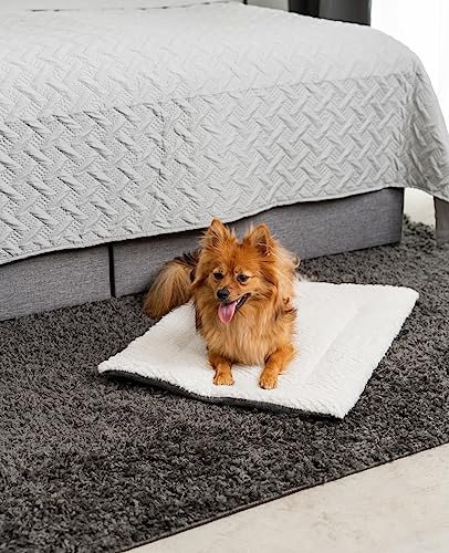 lionto Wendedecke wärmend für Hunde und Katzen, gefütterte Liegedecke waschbar mit strapazierfähiger und flauschiger Seite, 60x45 cm, hygienische Matte mit Kälteschutz für Haustiere aller Größen, grau