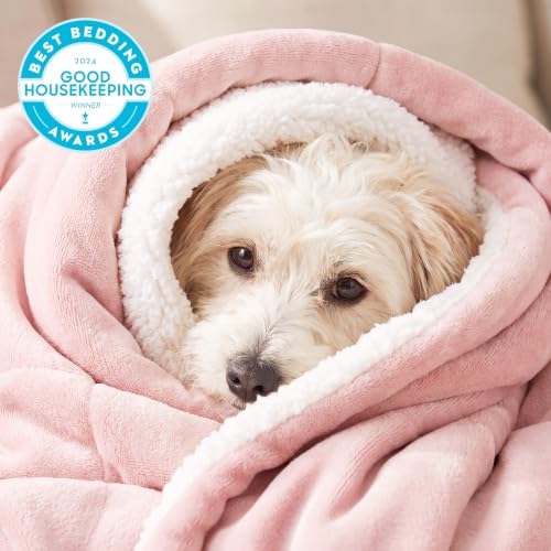Image of Bedsure GentleSoft Sherpa Fleece Throw Blanket for Couch, Non-Heated, Thick and Warm Throw Gifts for Women and Girls, Soft Fuzzy Plush Kids Blanket for Spring, Room Home Decor, Pink, 50x60 Inches