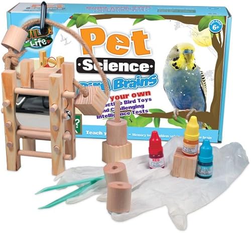 Cerebro de aves de ciencia salvaje