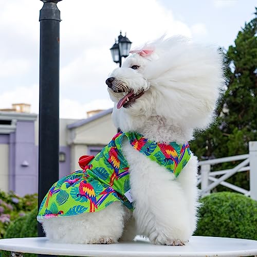 Image of CuteBone Dog Mesh Dress Puppy Sundress Pet Outfit Summer Fashion for Small Dogs Girl Cat Clothes