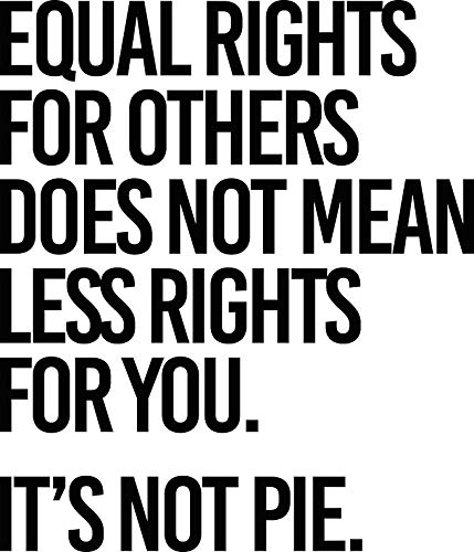 MAGNET Equal Rights For Others Does Not Mean Less Rights For You. It'S Not Pie. Magnet Decal Fridge Metal Magnet Window Vinyl 5