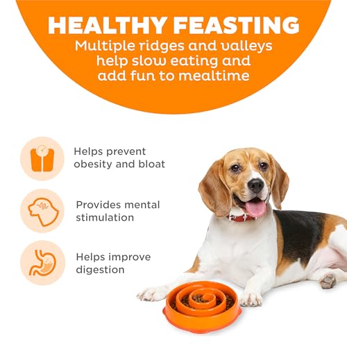Outward Hound Fun Feeder Slo Bowl - Anti-Schling-Hundenapf für gesundes, langsames Fressen, zum Vorbeugen von Blähungen, mittelgroß/Mini, orange