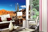 KLEISTER: kostenlos im Paket Vlies Fototapete KAKTUS IN DER ROTEN WÜSTE 375 x 250 cm (inkl. Kleister) - Vlies Tapete, Wandtapete, Wandbilder - Tapete für Wohnzimmer Schlafzimmer, Büro, Küche - Montagefertig