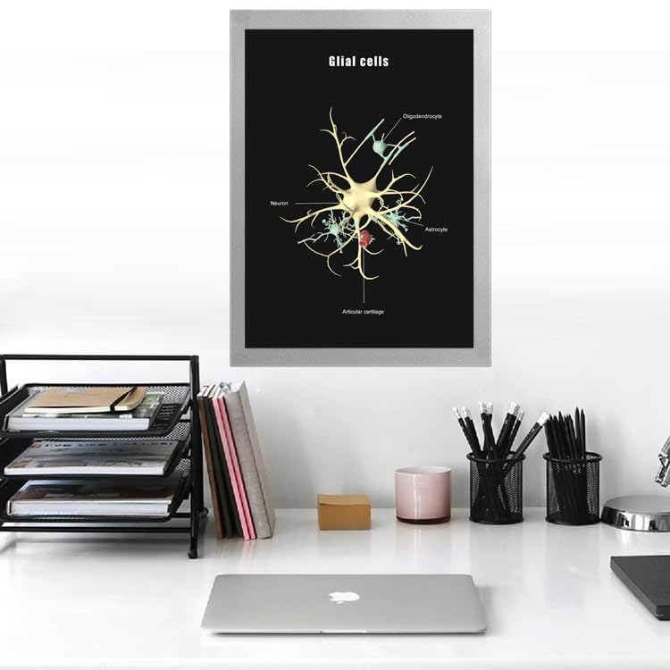 Image of Taanfu Body Educational Learning Anatomy Posters ，Glial cells Art cells Villi Anatomy Art Poster Digestive System Organs Illustration Small Intestine Physiology Anatomy Wall Art Villi