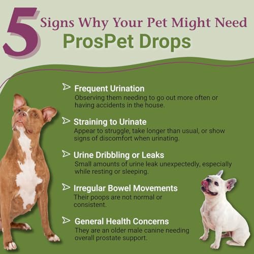 Image of PetAlive ProsPet Drops for Pet Prostate and Bladder Health - Herbal Supplement for Dog Urinary Tract, Bladder and Immune Support - Constipation Relief - 59 ml