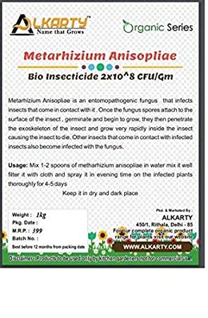 Metarhizium Anisopliae Bio Insecticide, 1 kg for Garden