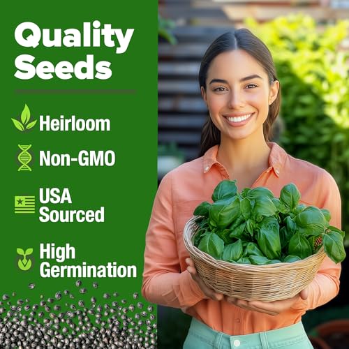 HOME GROWN Non GMO Italian Basil Seeds Bulk Pack 1,424 Sweet Large Leaf Basil Seeds for Planting and Heirloom Herb Seeds for Planting Indoors or Outdoors (Ocimum basilicum) - Image 3