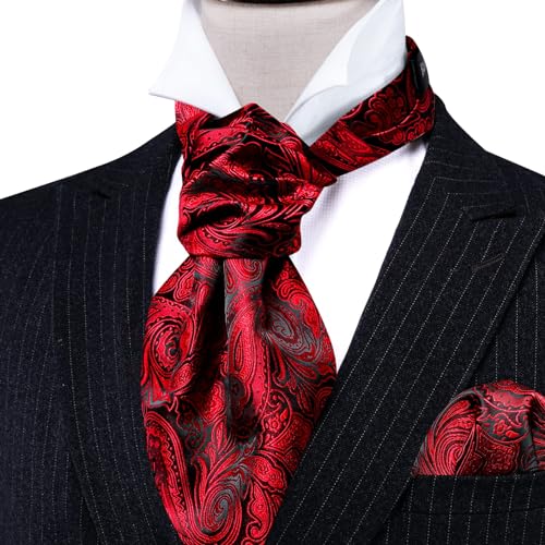 Image of Barry.Wang Ascot Ties Cravat Tie Men Paisley Plaid Scarf Self Tie Pocket Square Cufflinks Set Wedding Party