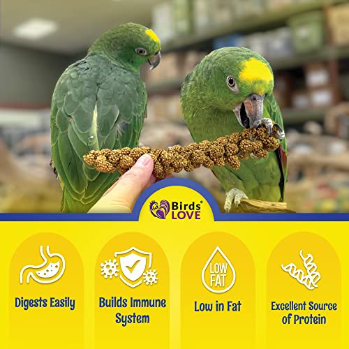image for Birds LOVE Economy & Thin Special Spray Millet | GMO-Free No Pesticide