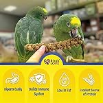Birds LOVE Economy & Thin Special Spray Millet | GMO-Free (No Stems Only Edible Tops) for Birds Cockatiel, Lovebird, Parakeet, Finch, Canary All Parrots Healthy Treat 7 oz -Pack of 2 - Image 3