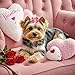 Senniea 60Pcs Dog Bows with Rubber Bands Love Heart Dog Bowknot Hair Bows Red Pink PuppyTopknot Bows for Day Doggie Cat Bunny Yorkie Pet Hair Grooming Accessories (Valentine's Day)