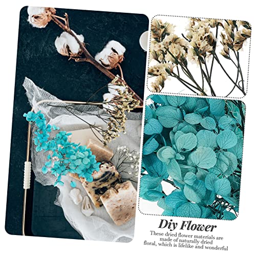 Set Natural de Flores Secas para Manualidades DIY miniatura 3