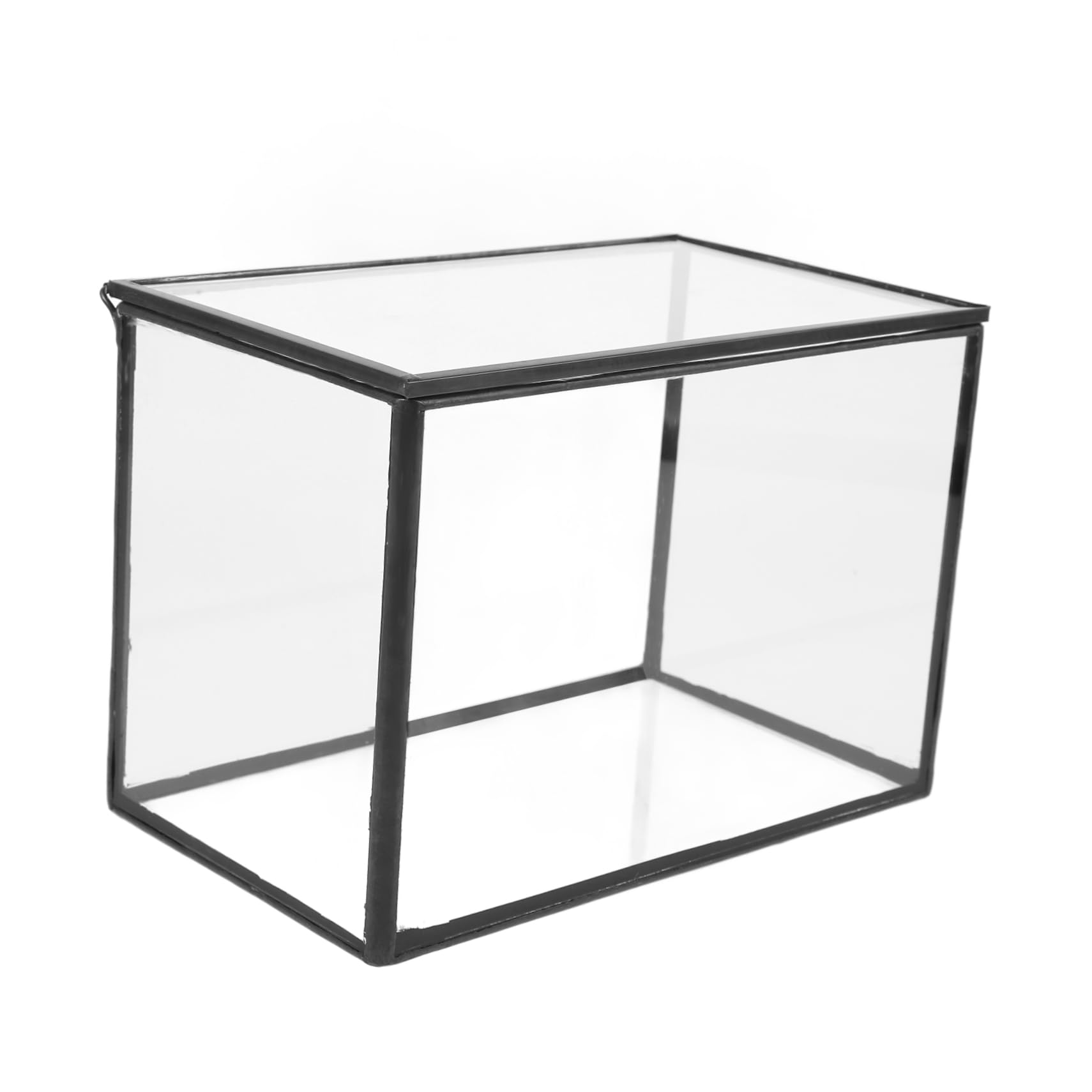 Kit per Terrario Piante in Vetro per Piante e Fiori, Terrario Fai da Te per Ufficio, Decorazione Semplice e Resistente