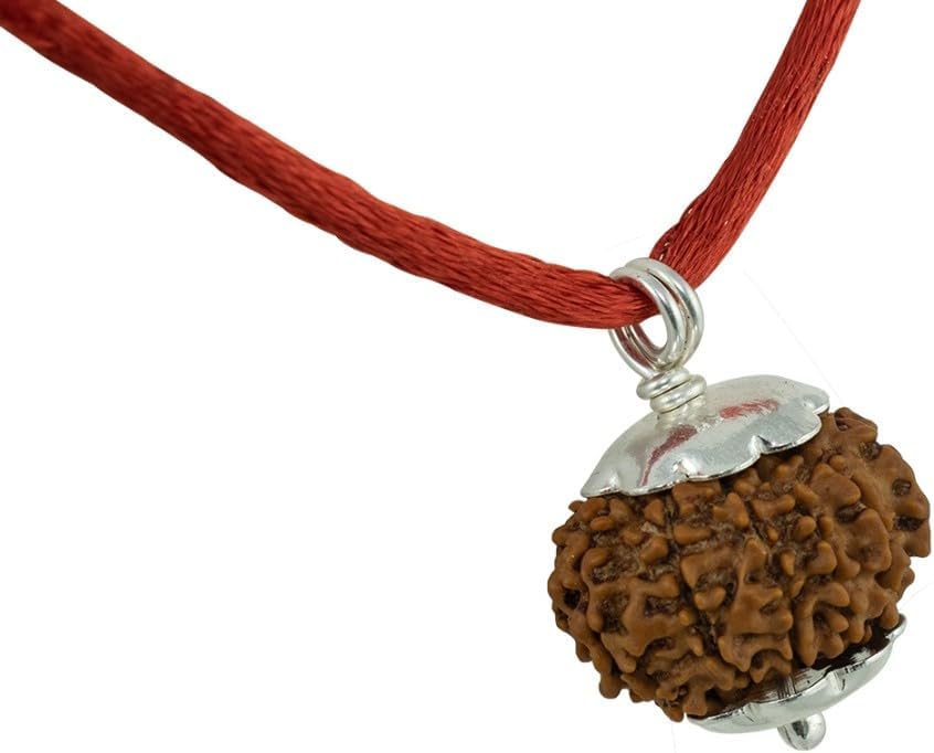 Ganesha Arts 14 Mukhi Rudraksha From Indonesia/Fourteen Mukhi Java Silver Pendant Lab Certified