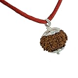 Ganesha Arts 14 Mukhi Rudraksha From Indonesia/Fourteen Mukhi Java Silver Pendant Lab Certified (10mm-13mm)