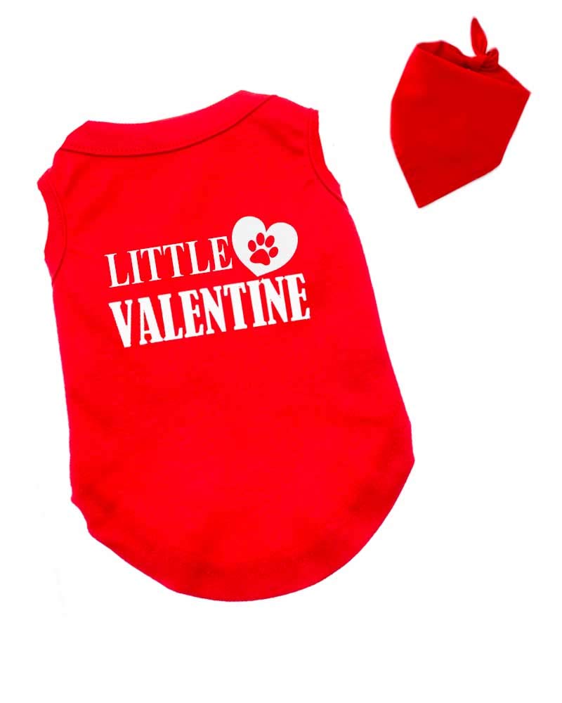 Matching Dog and Owner Outfit -My Dog is My Valentine, Adult Large + Dog X-Large, Red