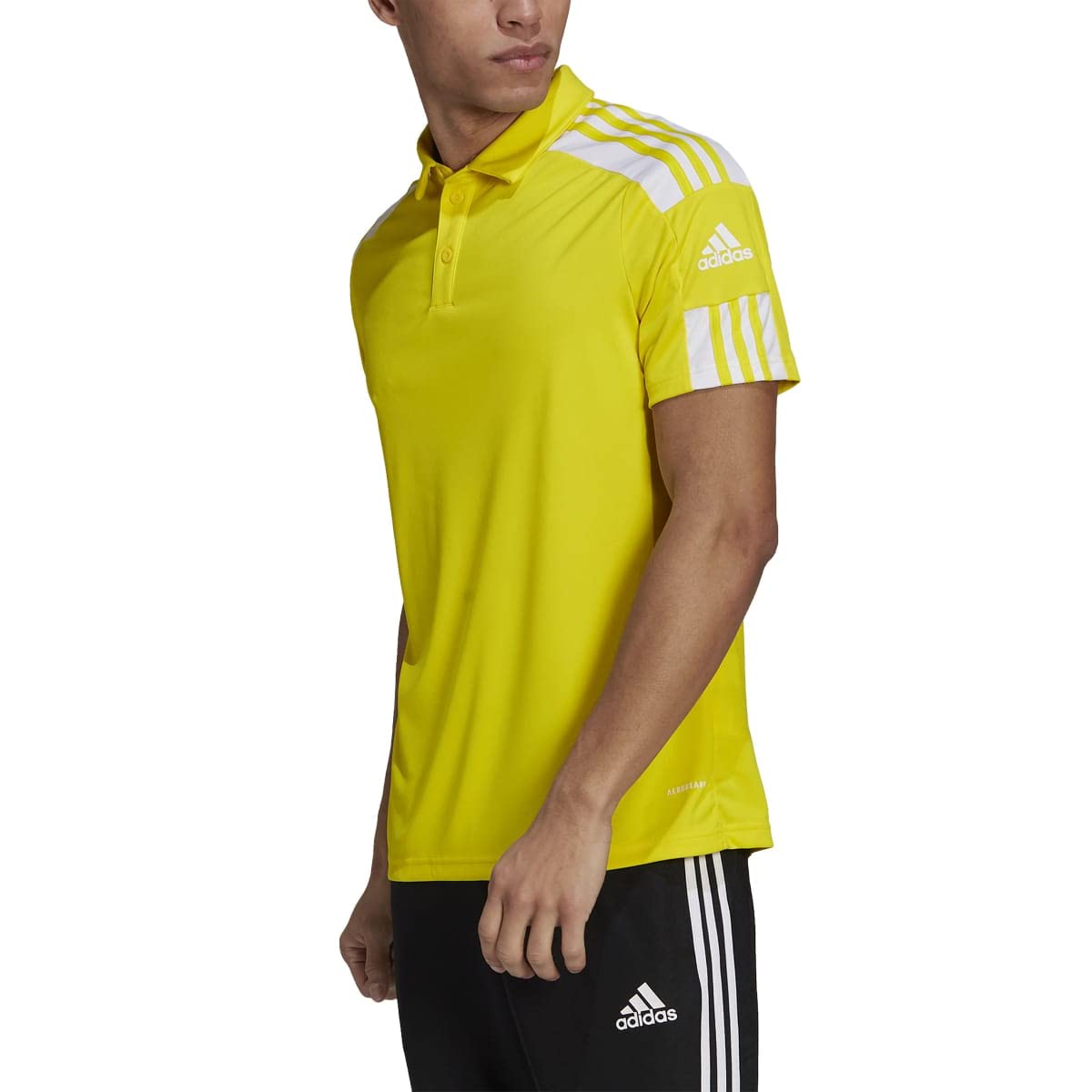 adidas squadra polo