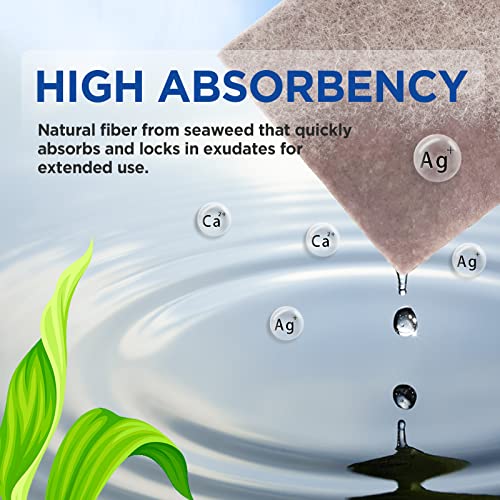 image for Ceeport Silver Calcium Alginate Wound Dressing, 4