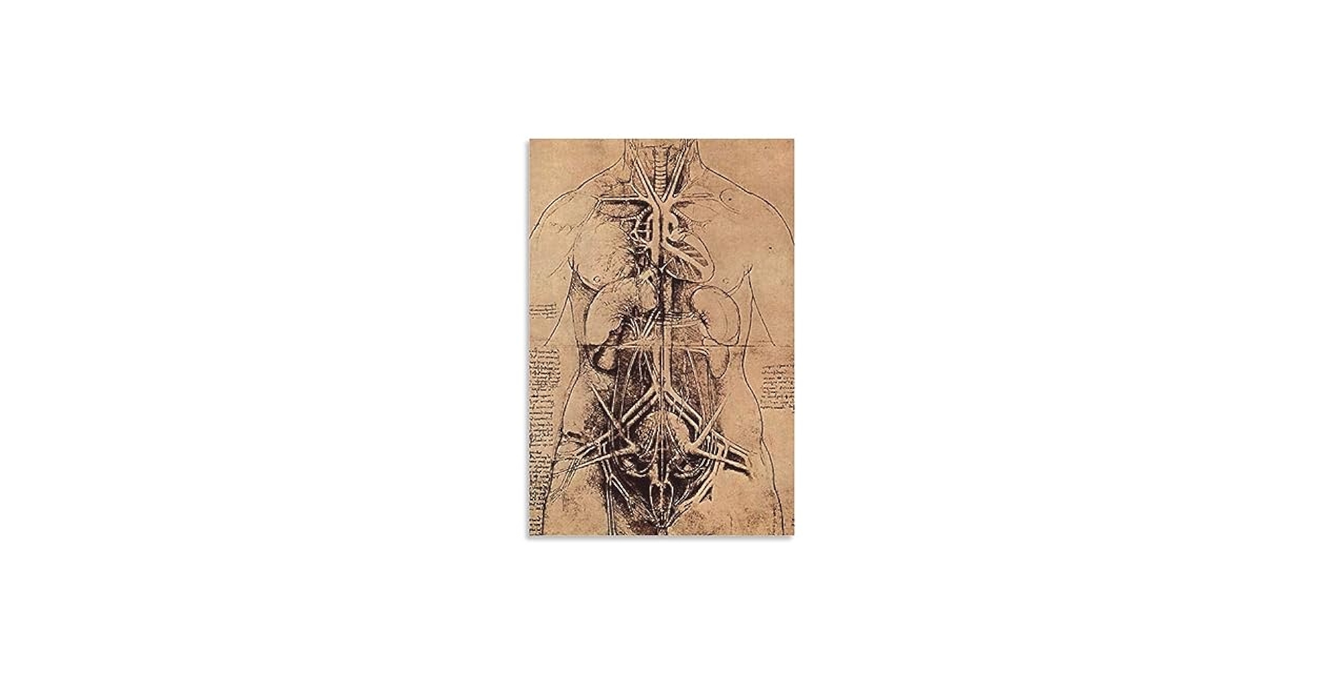 Amazon.co.jp: Leonardo Da Vinci レオナルド・ダ・ヴィンチ