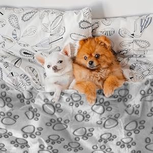   Pet-Blanket-for-Dogs-and-Cats-66-42-Inch-Soft-Cozy-Blanket-with-Lovely-Paw-Prints-Fit-for-Sofa-Bed-and-Floor-Grey