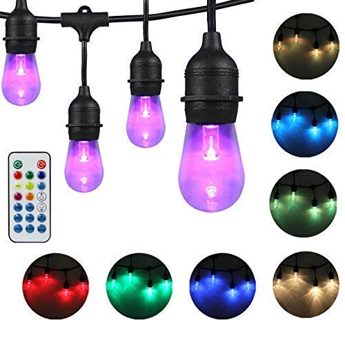 DAKASON LED Color Changing Outdoor String Lights for Patio, 48FT LED String Lights with 24 +2 Acrylic Light Bulbs and Remote, Weatherproof Commercial Grade ETL Listed