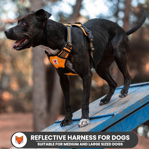 Image of Wooflix Heavy Duty Reflective Dog Harness for Big Sized Breed Dogs - No Pull, No Choke Harness for Dog with Adjustable Chest Belt with Soft Padded Handle | Orange - Size: XL (32kg to 42kg Dog)