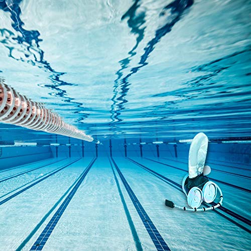 L Continue 12 Pack TSP10P and 9-100-3105 Hose End Water Flow Enhancer, Replacement for on Any Pressure-Side Pool Cleaners, Including 3900, 380, 360, 280 and 180.